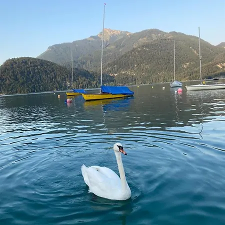 Echt Heimat *